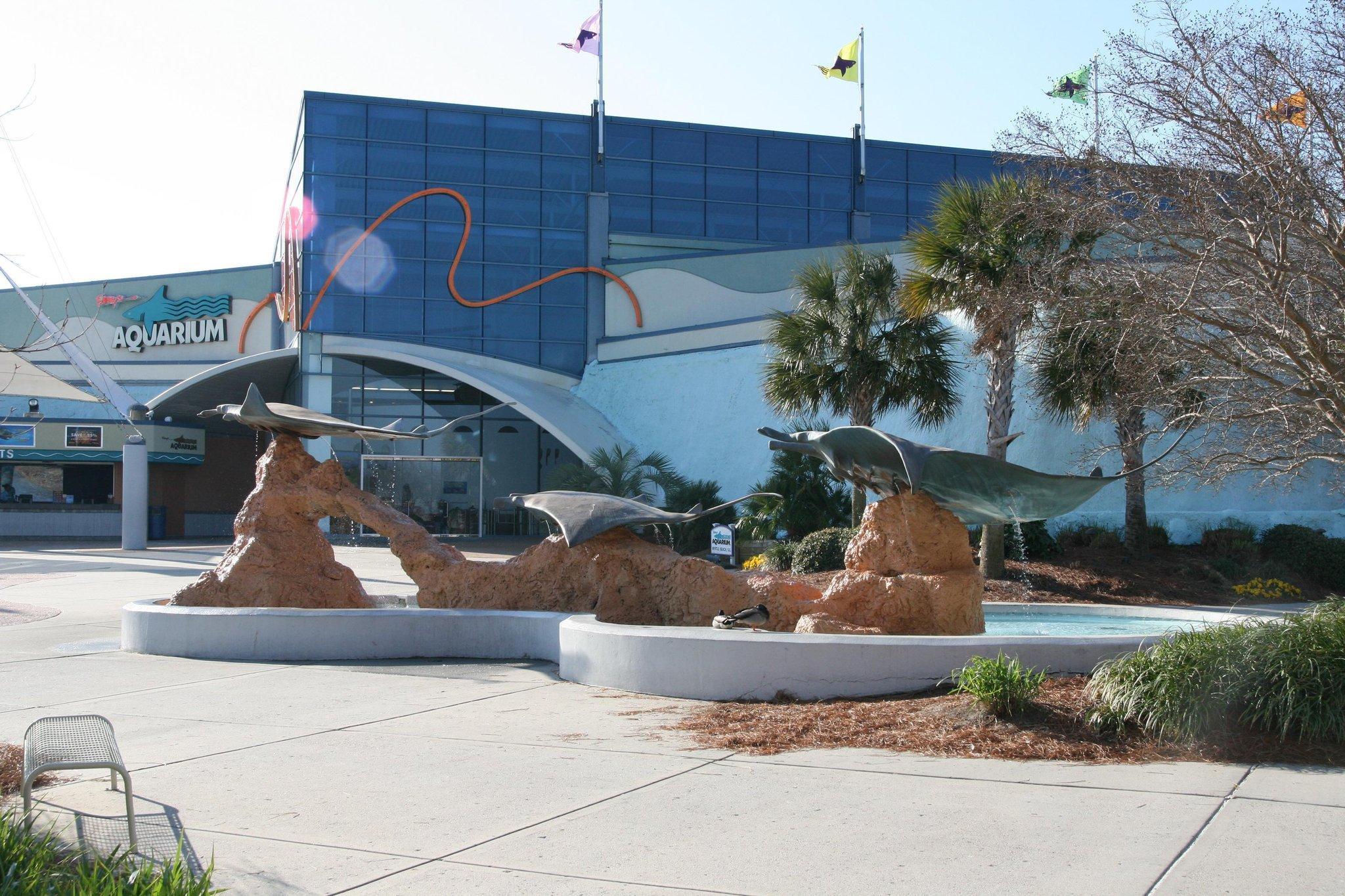 Hotel Hampton Myrtle West Socastee